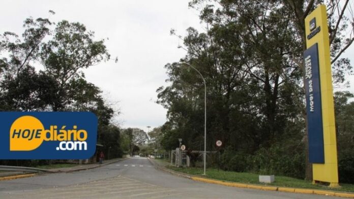 Capa Site - Padrão (1)