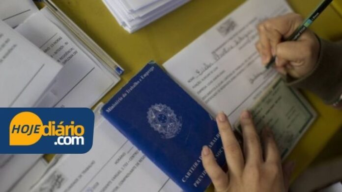 Feirão Vagas Emprego Empregos
