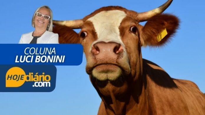 Luci Bonini