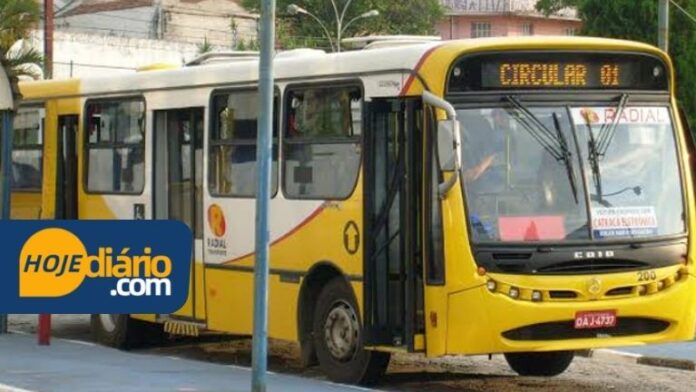 Radial Transportes Poá