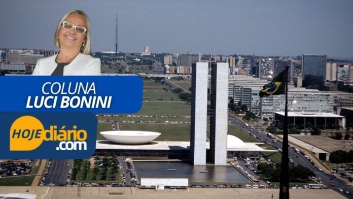Luci Bonini