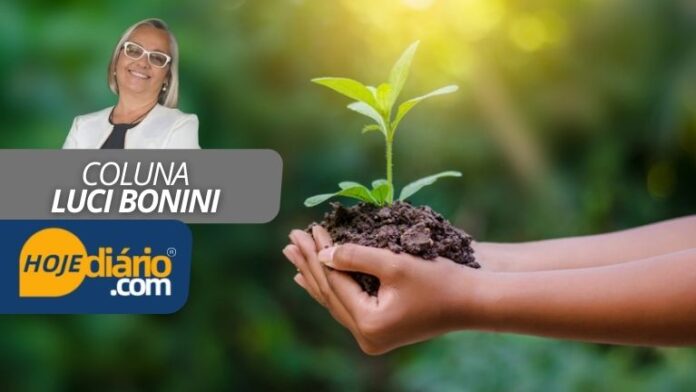 Luci Bonini