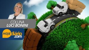"Reflexões sobre Logística e Meio-Ambiente", por Luci Bonini