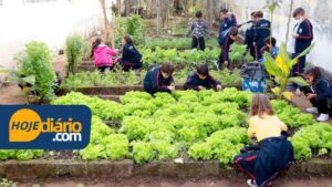 Projeto "Horta e Pomar na Escola": Alunos colhem verduras e hortaliças em horta de escola no Jardim Cacique, em Suzano