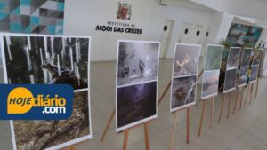 Exposição “Tesouros Naturais de Visegrád” entra em cartaz no hall da Prefeitura de Mogi das Cruzes