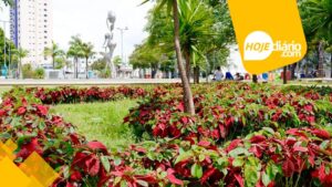 Praça Cidade das Flores Centro Suzano