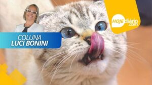 "Miau, Miau", por Luci Bonini