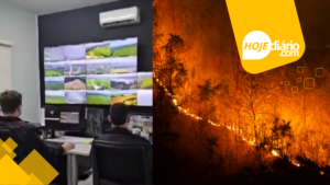 Empresa Suzano S/A intensifica medidas de prevenção a incêndios florestais em meio ao aumento de queimadas no Brasil