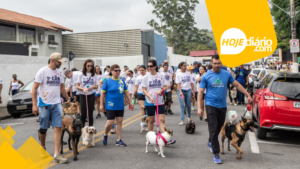Guararema realiza a 3ª CãoMinhada com feira de adoção e castração gratuita, em dezembro; veja detalhes 2ª CãoMinhada de Guararema