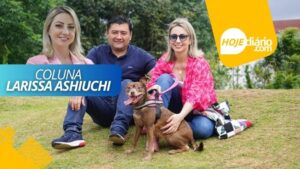 "Dia Nacional dos Animais: celebrando o amor e o respeito pelos nossos fiéis amigos", por Larissa Ashiuchi 