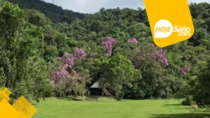 Parque Natural Municipal Francisco Affonso de Mello – Chiquinho Veríssimo Mogi das Cruzes