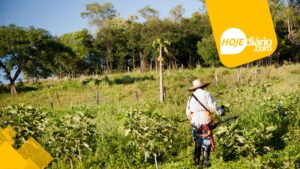 Produtor Rural