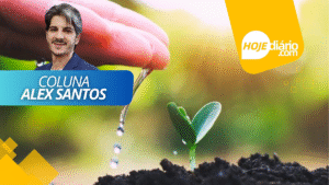 "Mês do Meio Ambiente: Juntos pela sustentabilidade", por Alex Santos