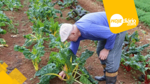 Prefeitura de Suzano confirma repasse de 100 mil reais para agricultores da cidade
