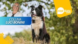 “Se meu cachorro falasse”, Luci Bonini