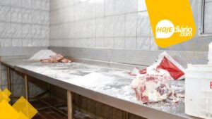 Condições insalubres: Vigilância Sanitária interdita frigorífico clandestino de carnes em Suzano