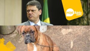 Governador de São Paulo sanciona lei que proíbe acorrentamento permanente de cães e gatos em todo o estado