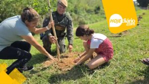 Prefeitura de Poá realiza plantio de 50 ipês-amarelos no Bosque Nova Poá