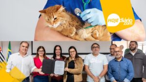 Prefeitura de Mogi das Cruzes anuncia criação de hospital médico-veterinário 24 horas com atendimento gratuito e especializado