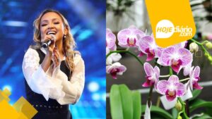 Orquídea Fest Poá 2025: tradicional Festa das Orquídeas começa em grande estilo nesta quinta-feira (23) com show gospel de Bruna Karla em Poá Festa das Orquideas Bruna Karla
