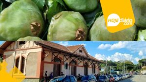 Programão: 11º Festival do Cambuci de Sabaúna celebra cultura e gastronomia neste fim de semana em Mogi das Cruzes Festival do Cambuci Sabaúna Mogi das Cruzes