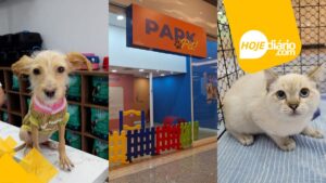 Itaquá Park Shopping, em Itaquaquecetuba, realiza Feira de Adoção Pet