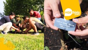 Suzano promove último plantio do ano do projeto “Árvore FamiliAR” no próximo sábado (13) Meio ambiente suzano plantio