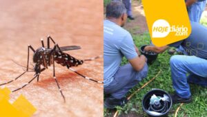 Prefeitura de Suzano inicia instalação de armadilhas contra o mosquito da dengue dengue armadilhas suzano
