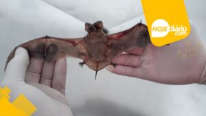 Saúde de Mogi das Cruzes orienta sobre vacinação antirrábica