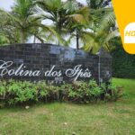 Grupo Colina dos Ipês promove missas especiais pelo Dia dos Pais em Suzano e cidades da Grande São Paulo